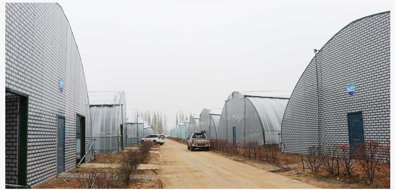 準格爾旗現(xiàn)代智慧設施農(nóng)業(yè)產(chǎn)業(yè)園(網(wǎng)頁)_22.jpg 準格爾旗現(xiàn)代智慧設施農(nóng)業(yè)產(chǎn)業(yè)園(網(wǎng)頁)_22.jpg