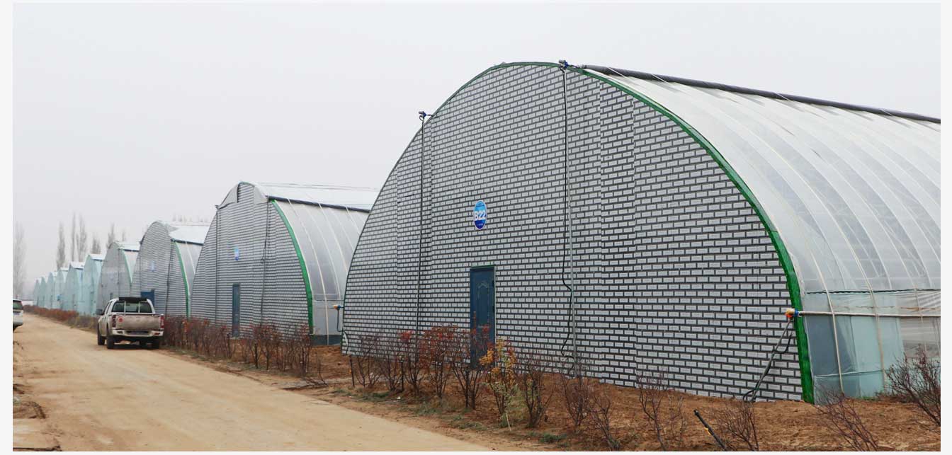 準格爾旗現(xiàn)代智慧設施農(nóng)業(yè)產(chǎn)業(yè)園(網(wǎng)頁)_24.jpg 準格爾旗現(xiàn)代智慧設施農(nóng)業(yè)產(chǎn)業(yè)園(網(wǎng)頁)_24.jpg