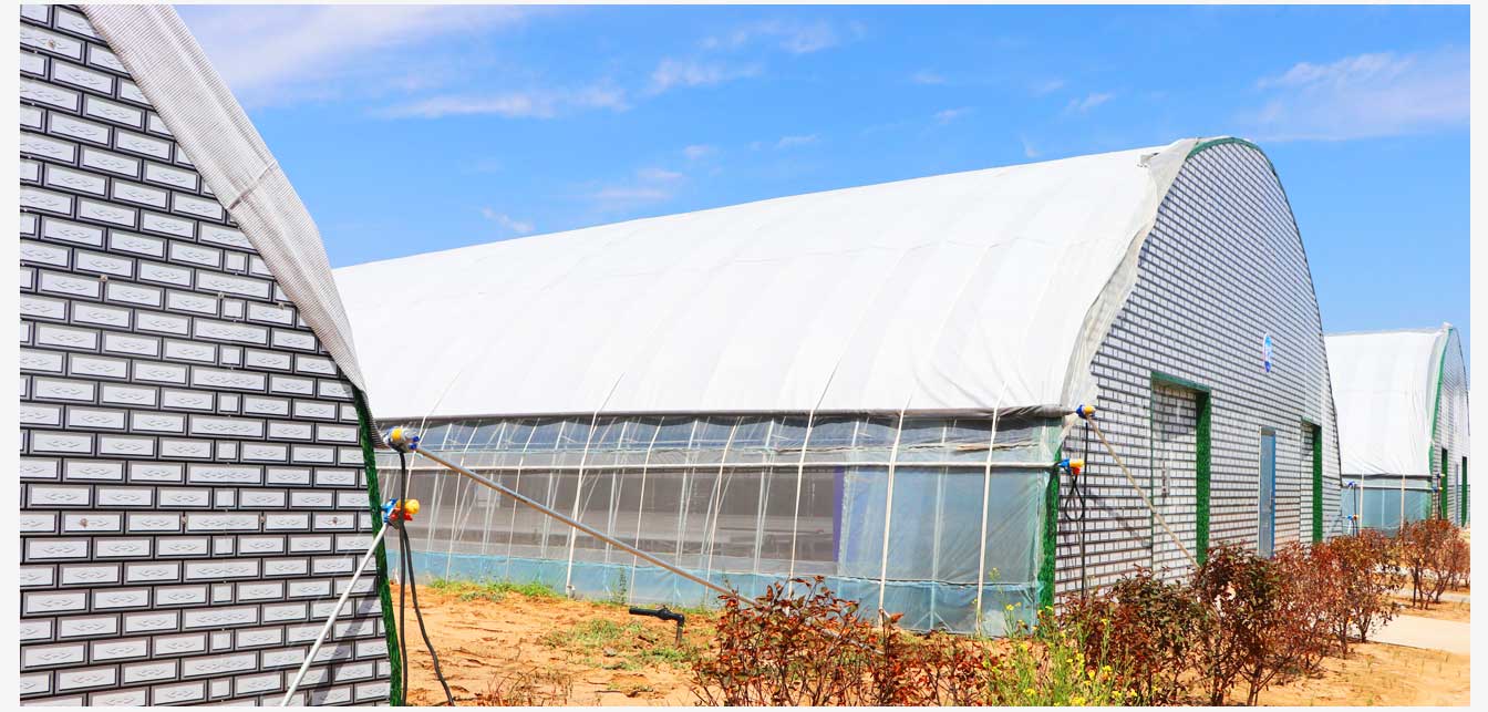 準格爾旗現(xiàn)代智慧設施農(nóng)業(yè)產(chǎn)業(yè)園(網(wǎng)頁)_26.jpg 準格爾旗現(xiàn)代智慧設施農(nóng)業(yè)產(chǎn)業(yè)園(網(wǎng)頁)_26.jpg