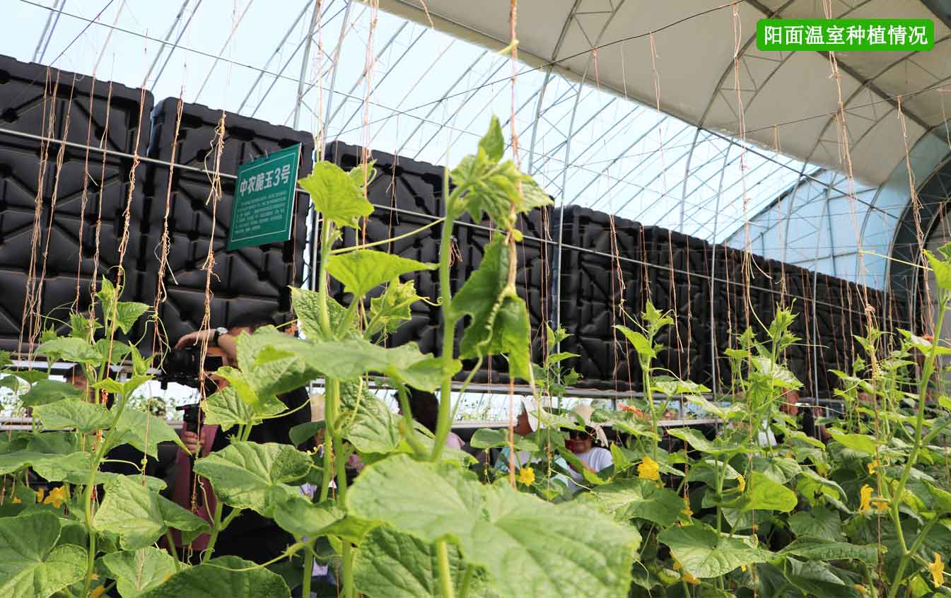 2、四季溫室網頁_12.jpg